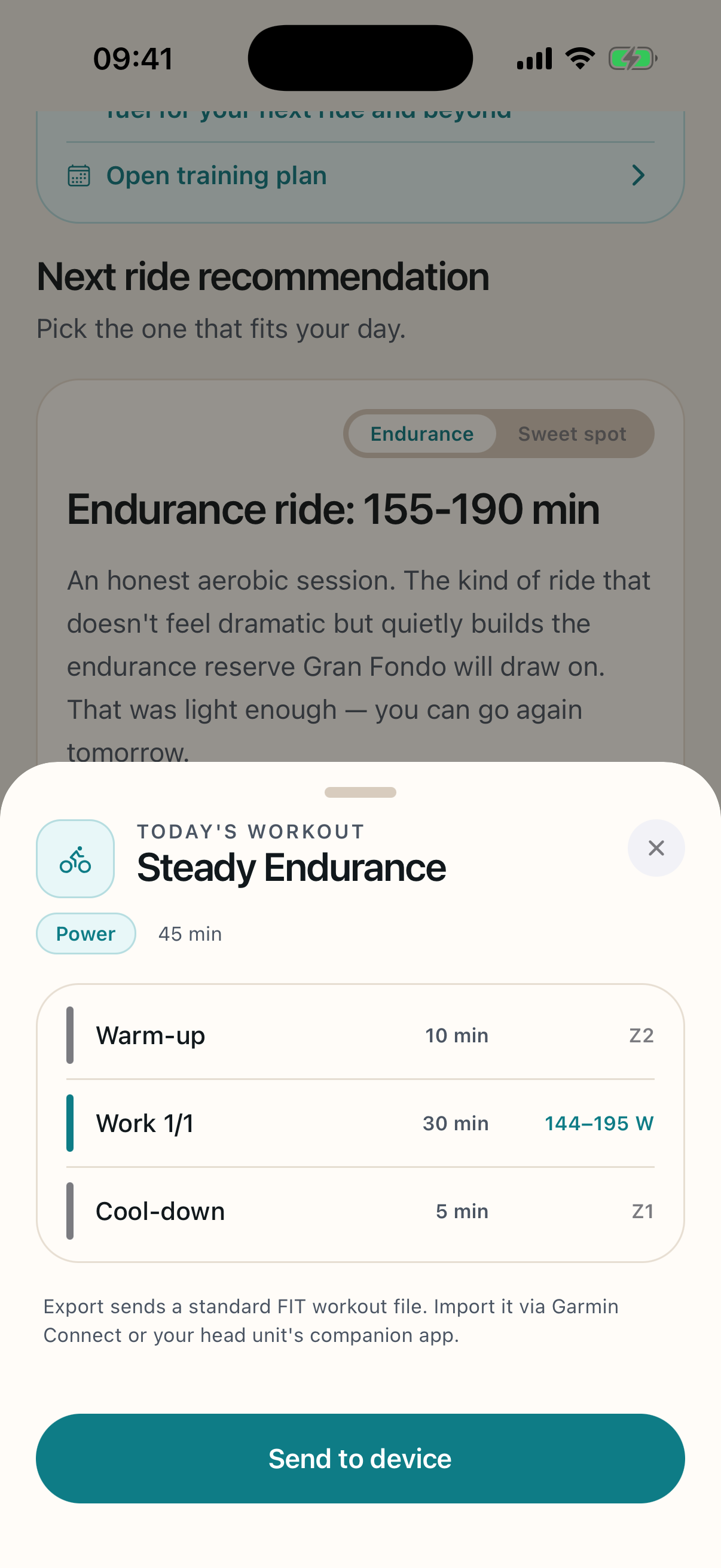 Today's workout sheet showing a structured session with steps and FIT export